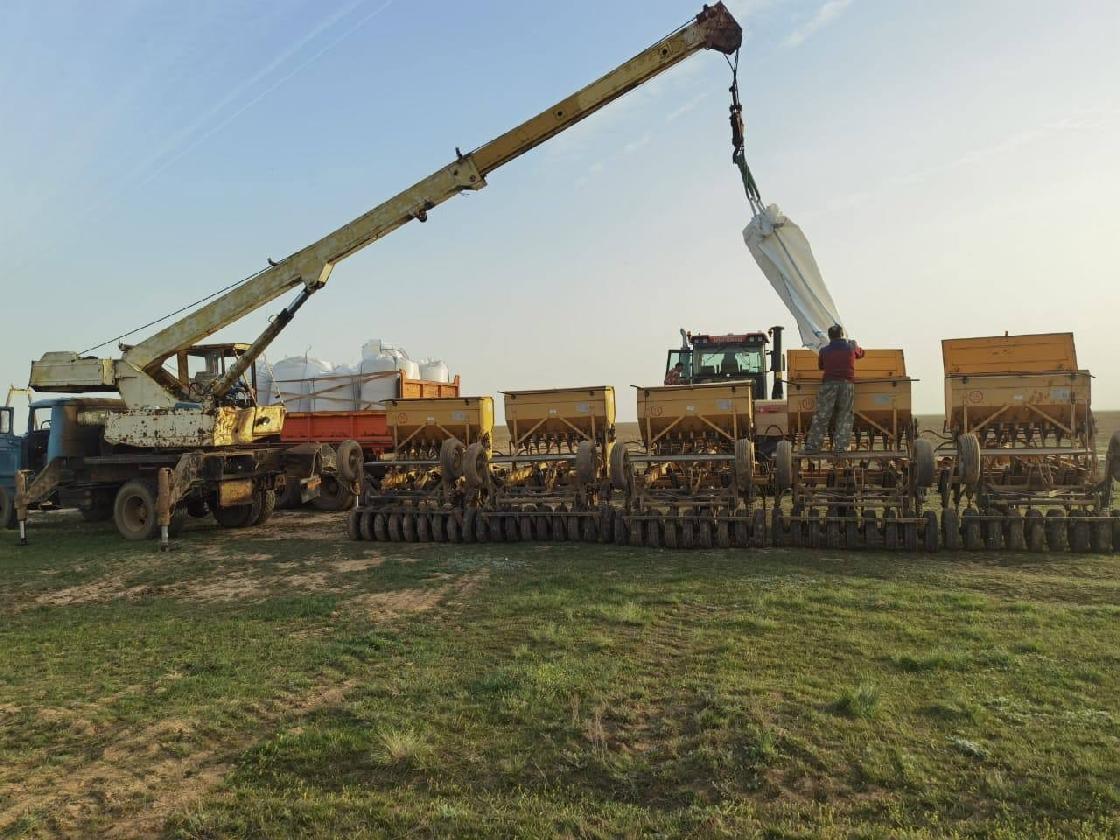 О тех, кто работает в АПК, получая высокие результаты и награды