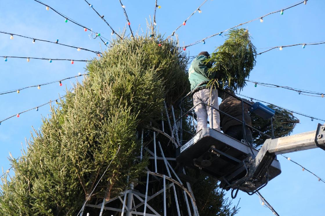 Разворотное кольцо Мостстроя в Астрахани украсят живой 14-метровой ёлкой