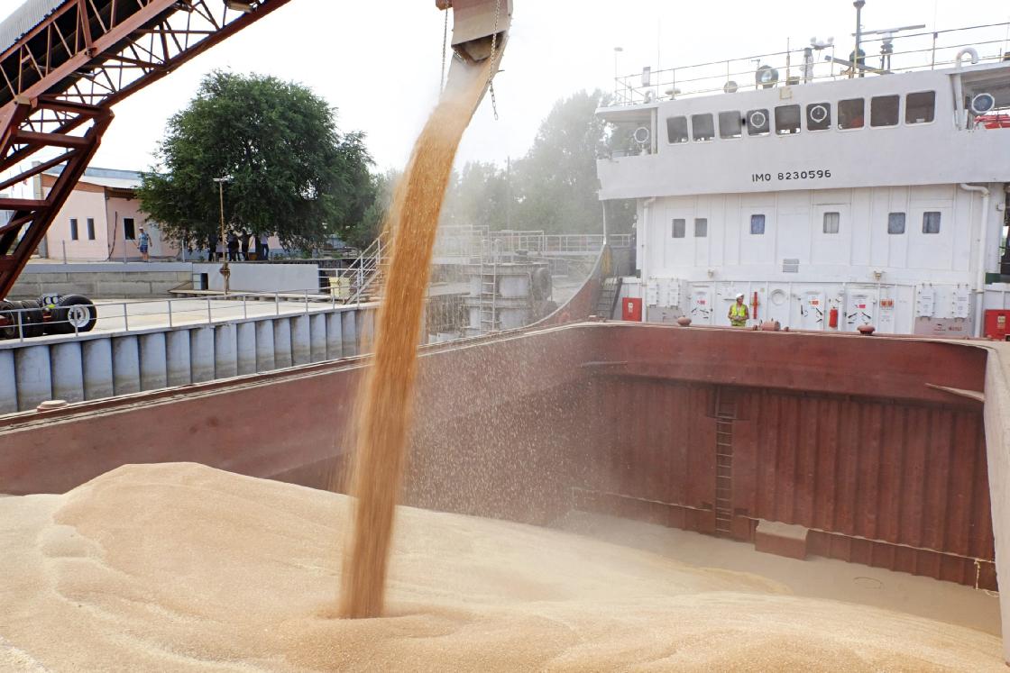 Астраханская область за неделю экспортировала в Иран более 17 тысяч тонн продукции