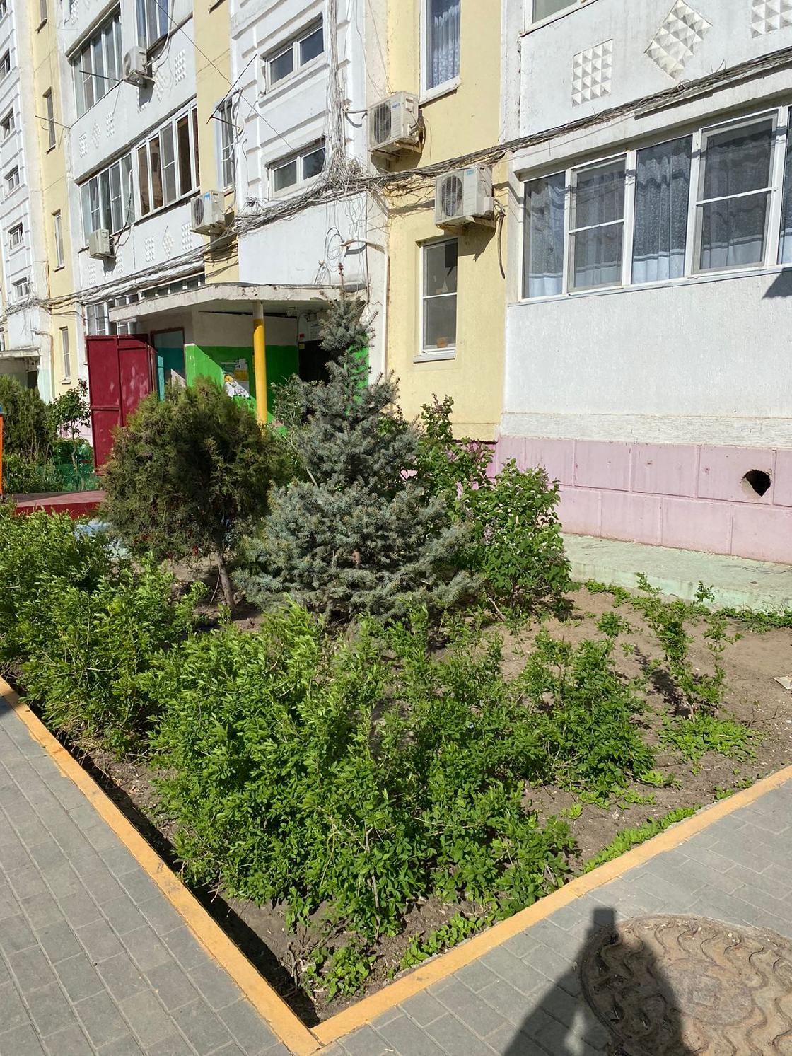 Обслуживание домов заслуживает благодарности