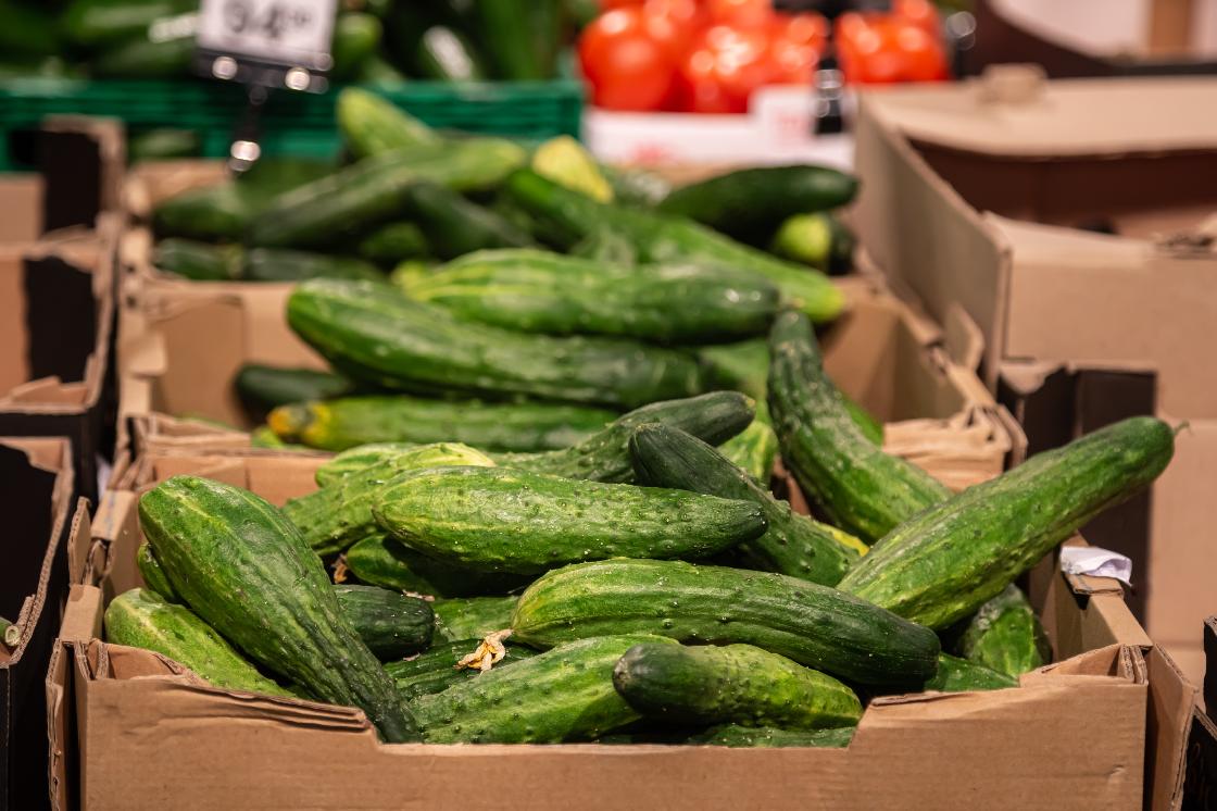 В сентябре из Астраханской области экспортировали более 24 тонн огурцов