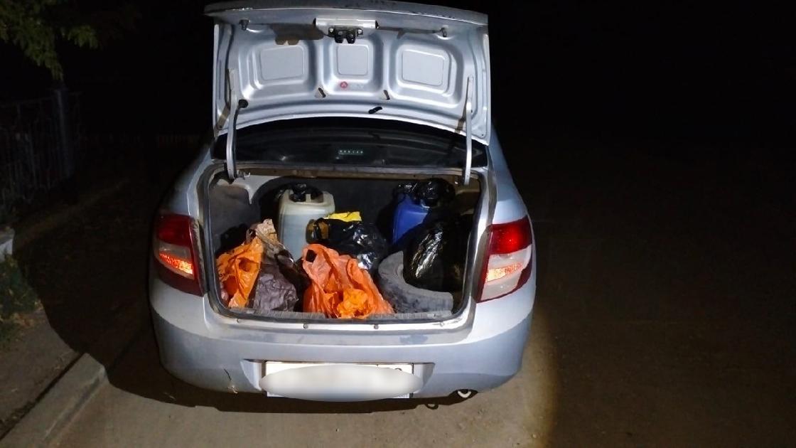 В автомобиле астраханца обнаружена нелегальная осетрина