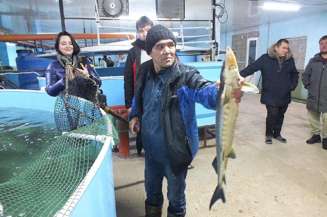 Какой будет этнодеревня «Рыбный аул» в Приволжском районе