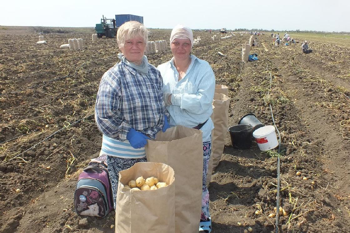 Агропромышленный комплекс Астраханской области продолжает развиваться