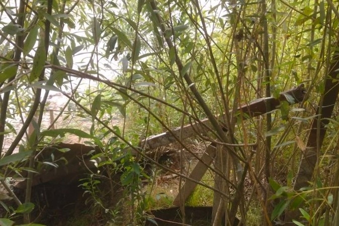 Под Астраханью незаконно перекрыли доступ к протоке