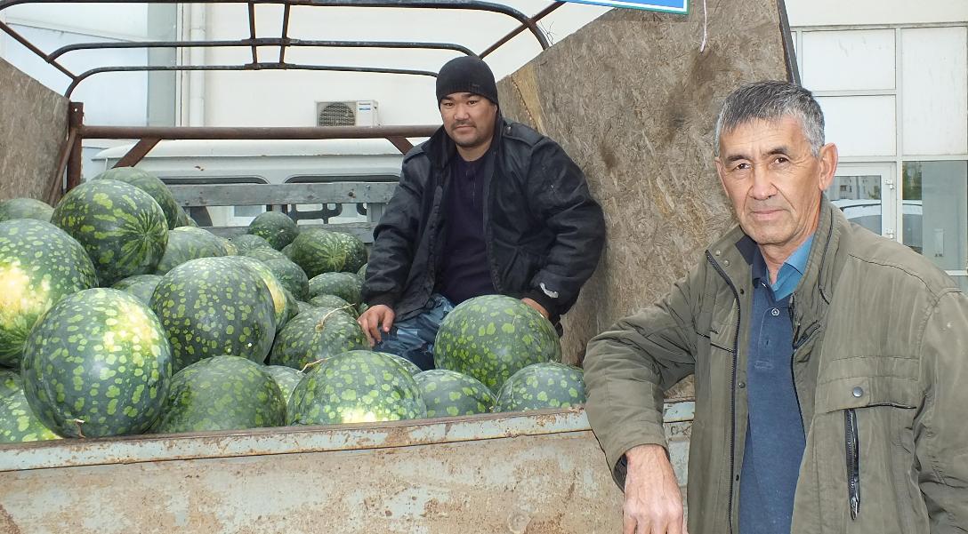 Камызякский аграрий любимой культуре не изменяет вот уже 40 лет