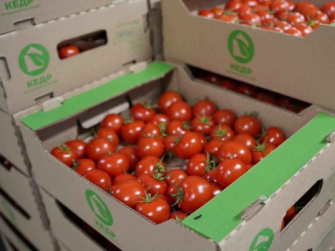 Экспорт сельхозпродукции из Астраханской области в Казахстан вырос на 20%