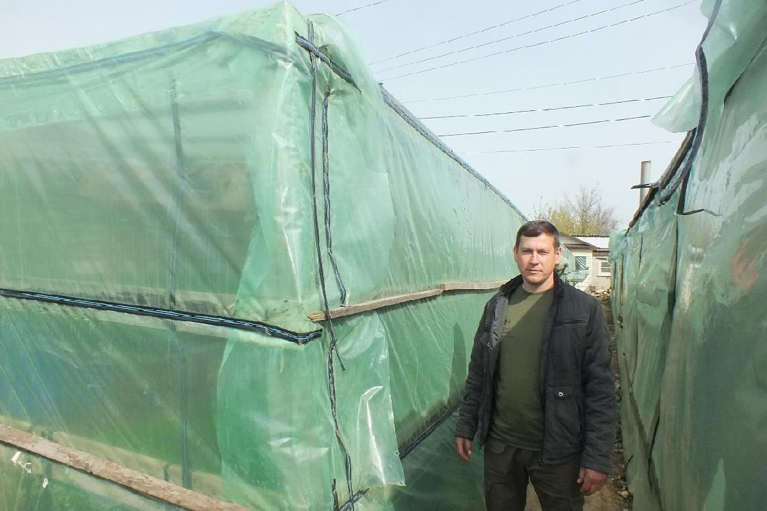 Советы астраханцам: чем продезинфицировать теплицу