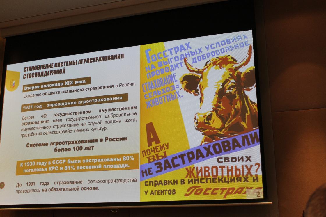 Агрострахование - одно из приоритетных направлений господдержки