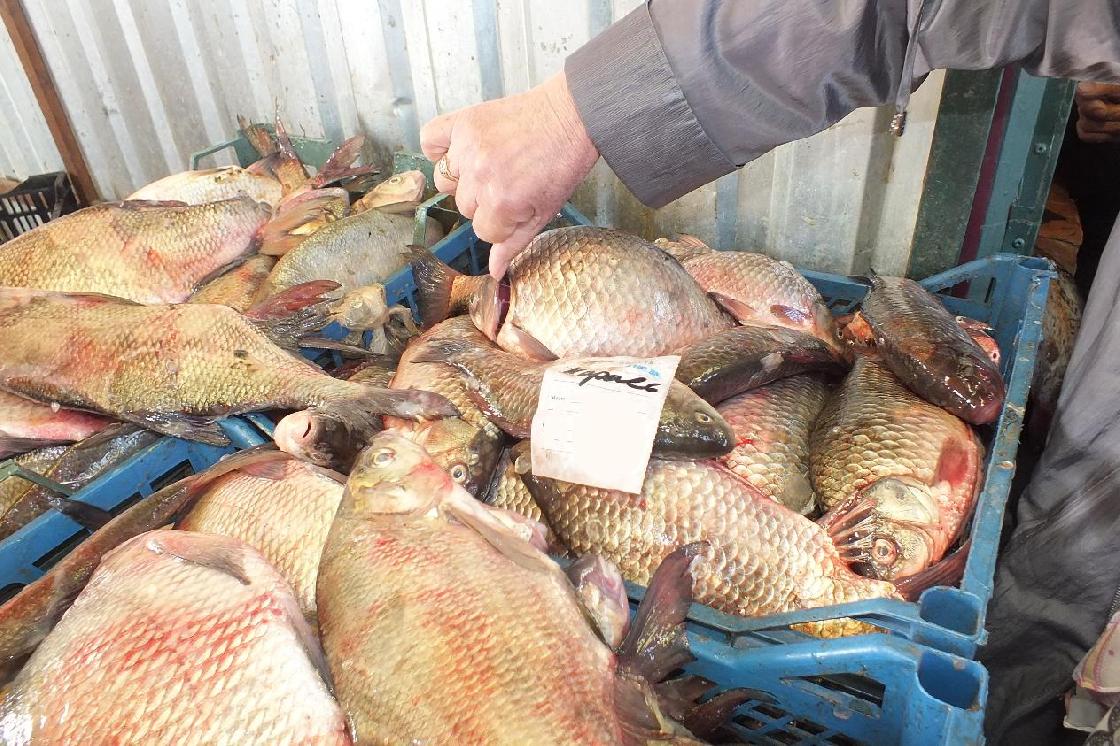 Как астраханцам правильно выбрать безопасную свежую рыбу