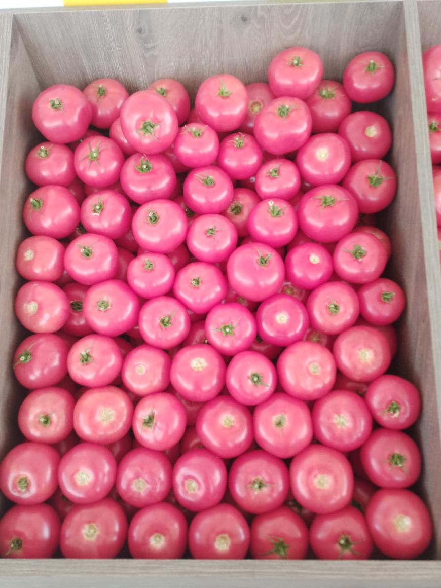 Астраханские советы: чем болеют овощи