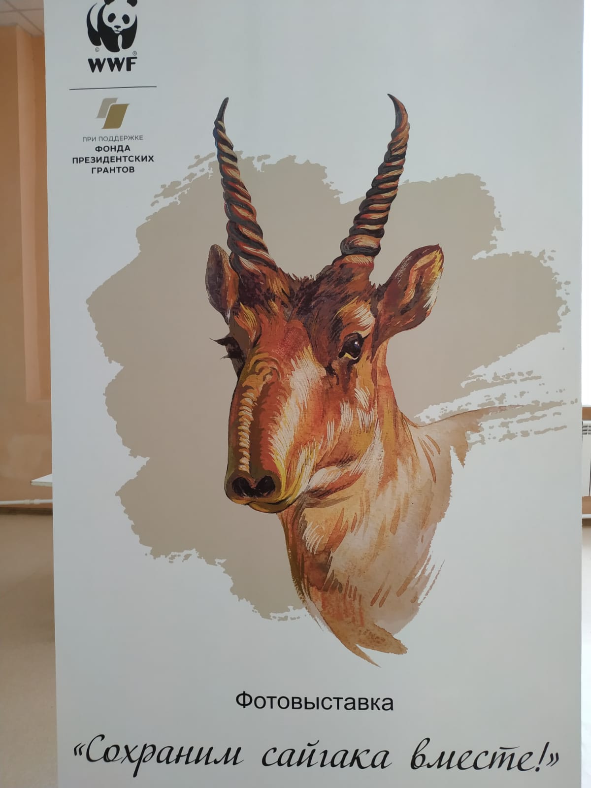 30 сентября в астраханском кремле откроется фотовыставка «Сохраним сайгака вместе»