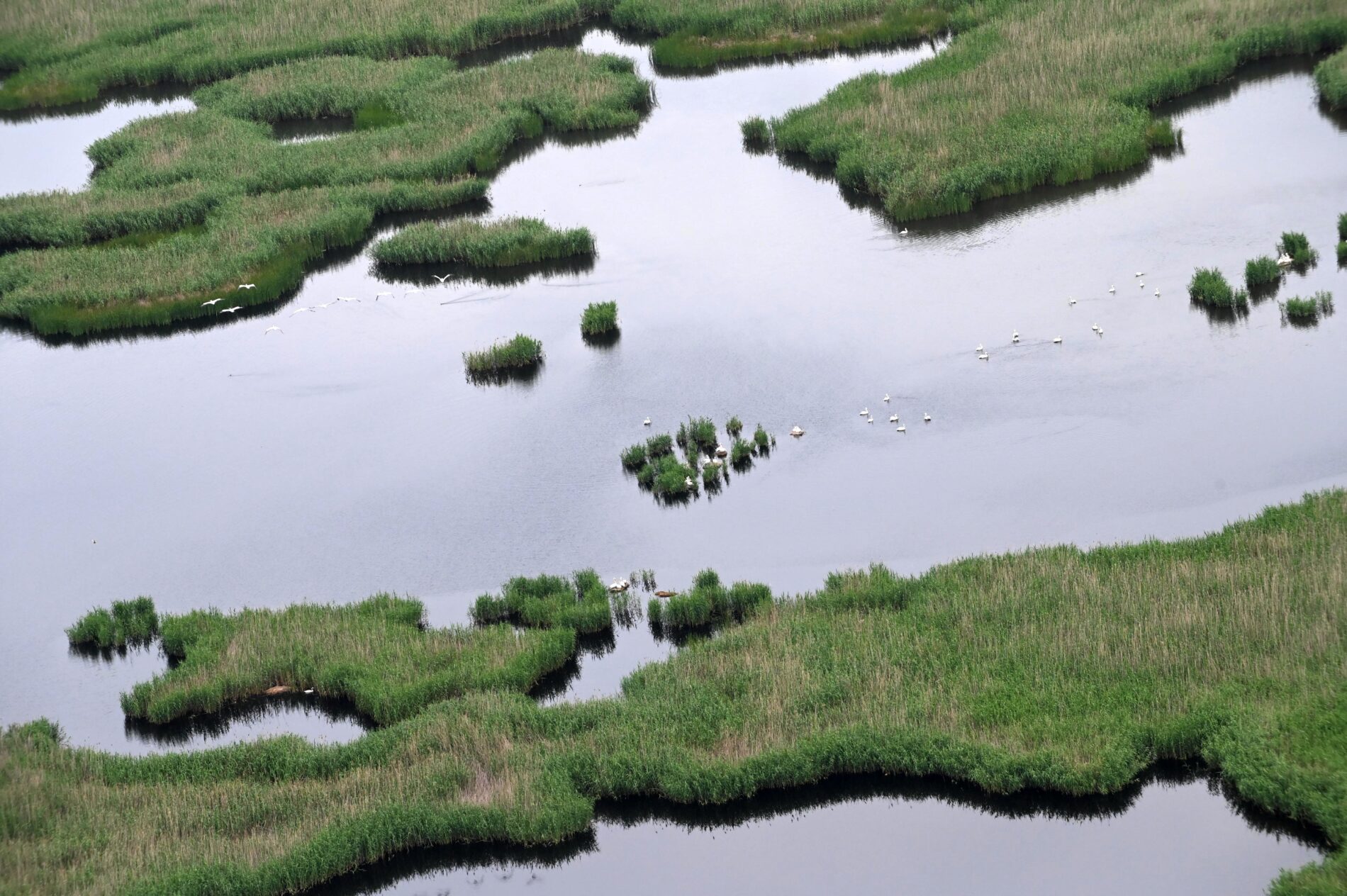 Эксперты назвали причины масштабных пожаров в дельте Волги
