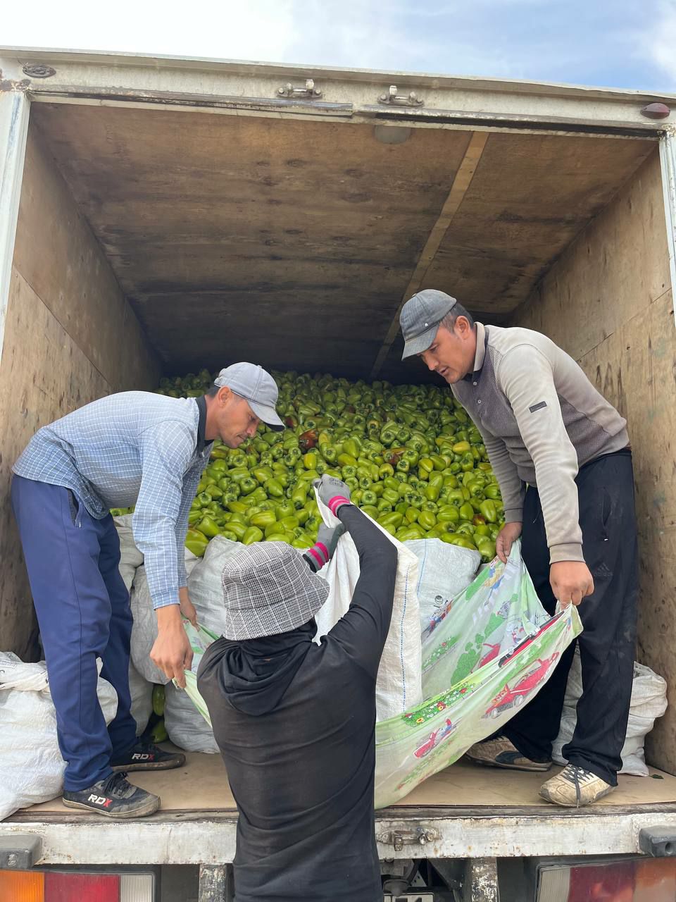 Уборка урожая в Астраханской области идет полным ходом