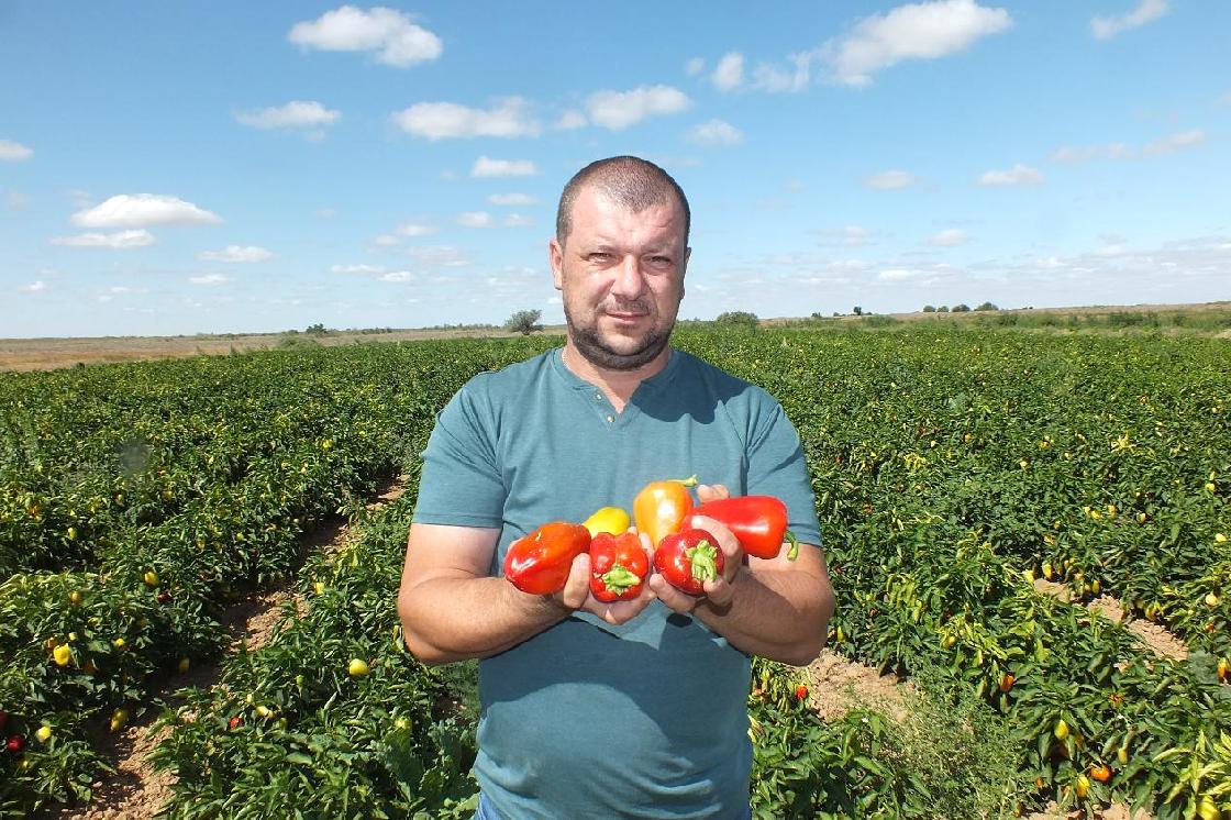 Советы астраханцам: листовая подкормка