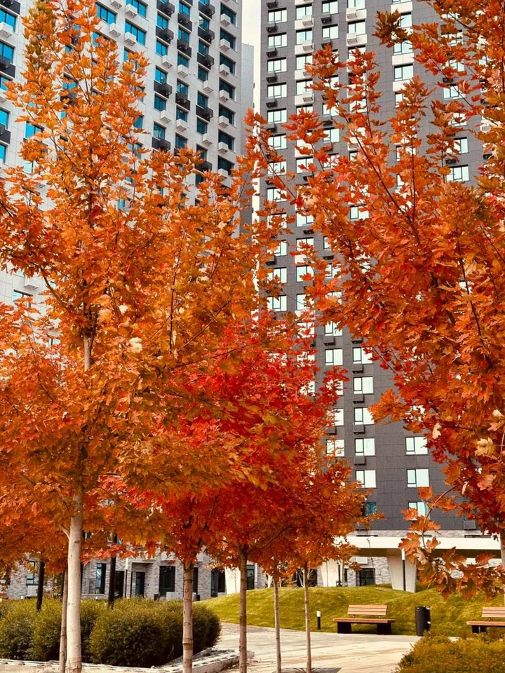 В Астрахани прошла встреча профессионалов ландшафтной индустрии