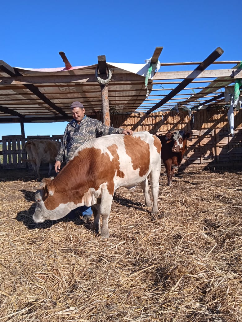 В календаре астраханских животноводов нет выходных