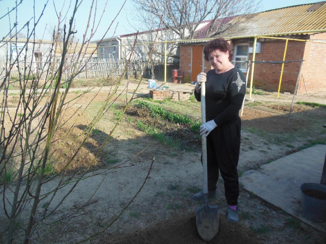 Сад-огород: что надо сажать в Астраханской области
