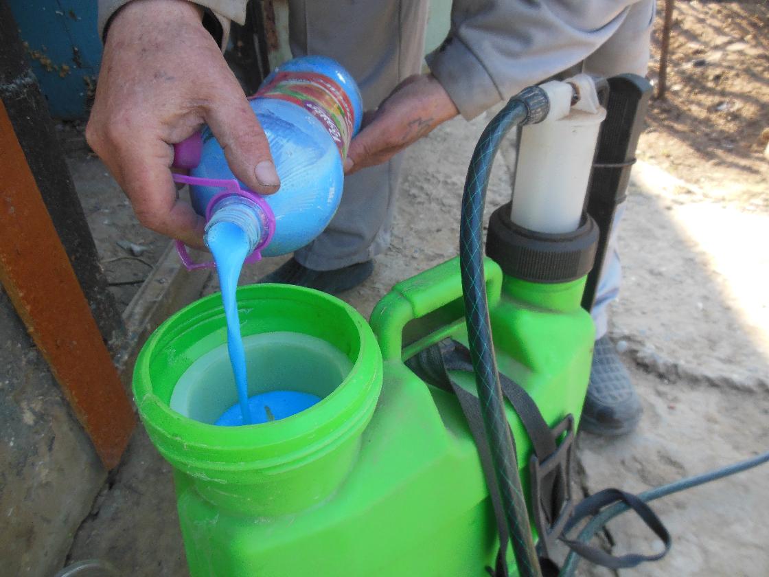 Советы астраханцам: борьба с сорняками