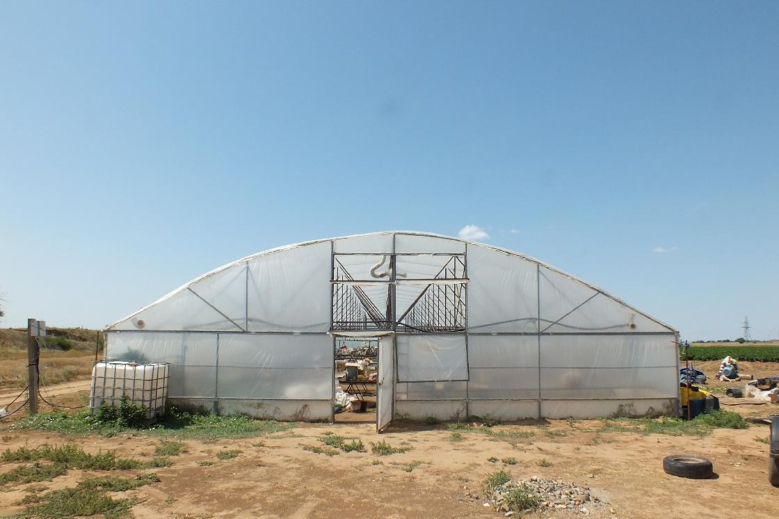 Как астраханцам подготовить теплицу к зиме