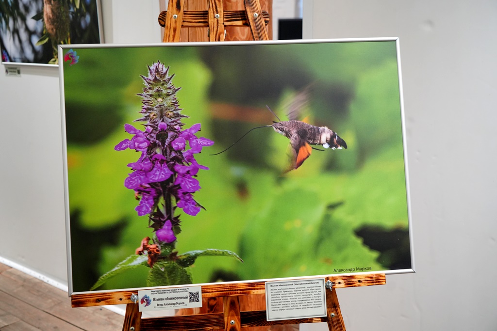 Юбилейная выставка проекта «Сохраняя будущее» откроется в Астраханском кремле