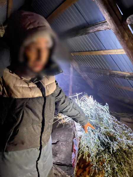 Наркополиция обнаружила в доме у астраханца более 1 кг растения, содержащего психотропные вещества