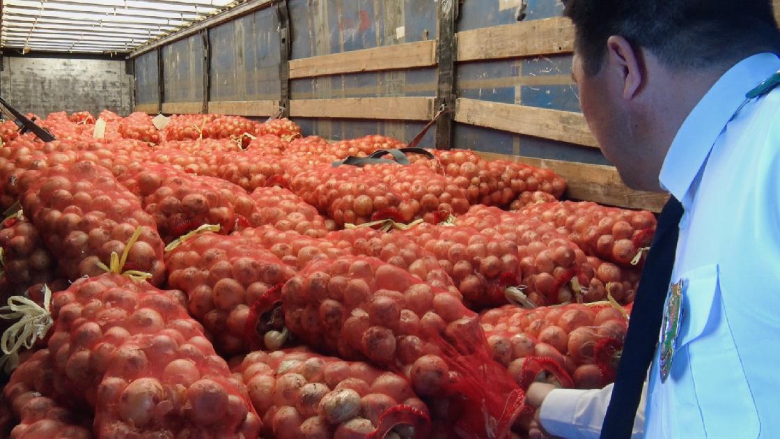 В Астрахань доставили более 40 тонн импортного лука