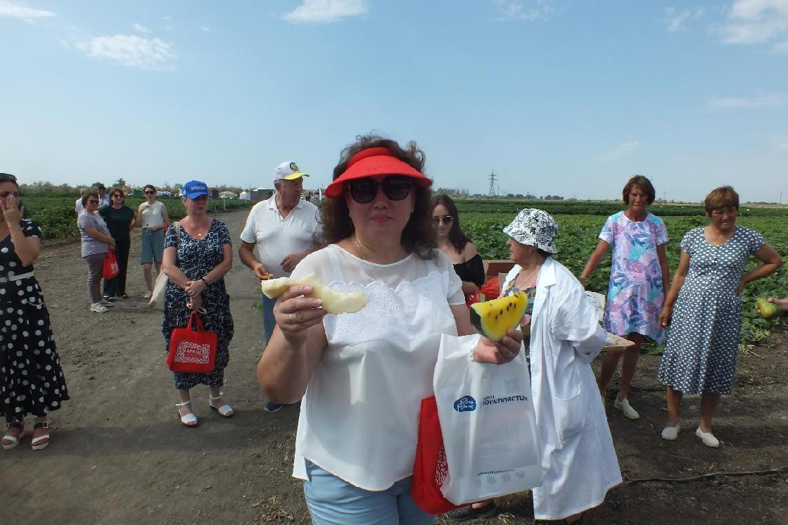 В Камызякском районе прошел День поля