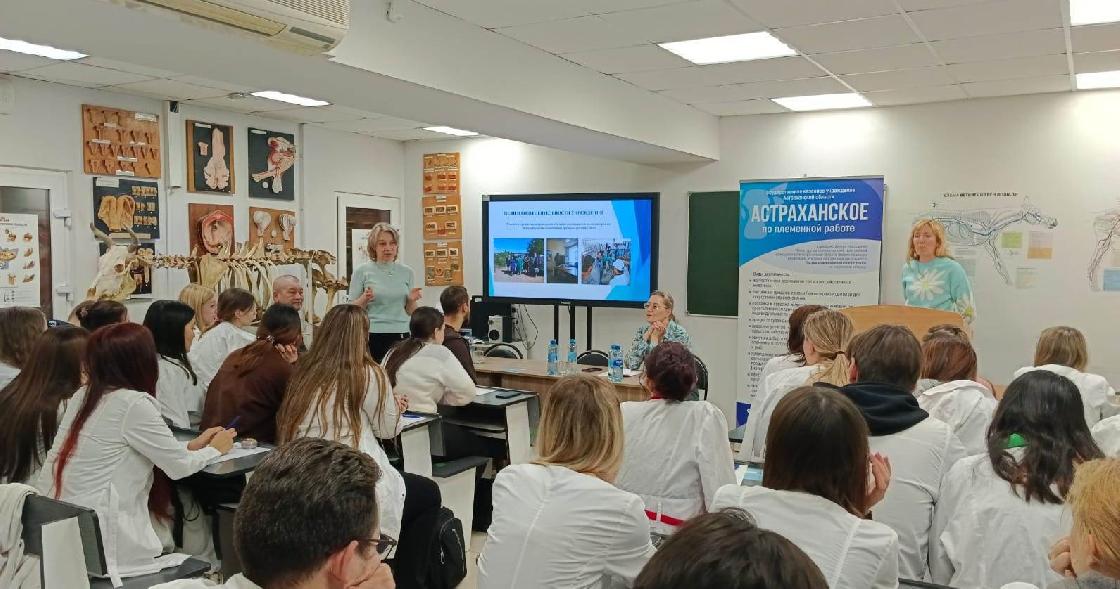 В Астраханской области - 173 вакансии для ветеринаров