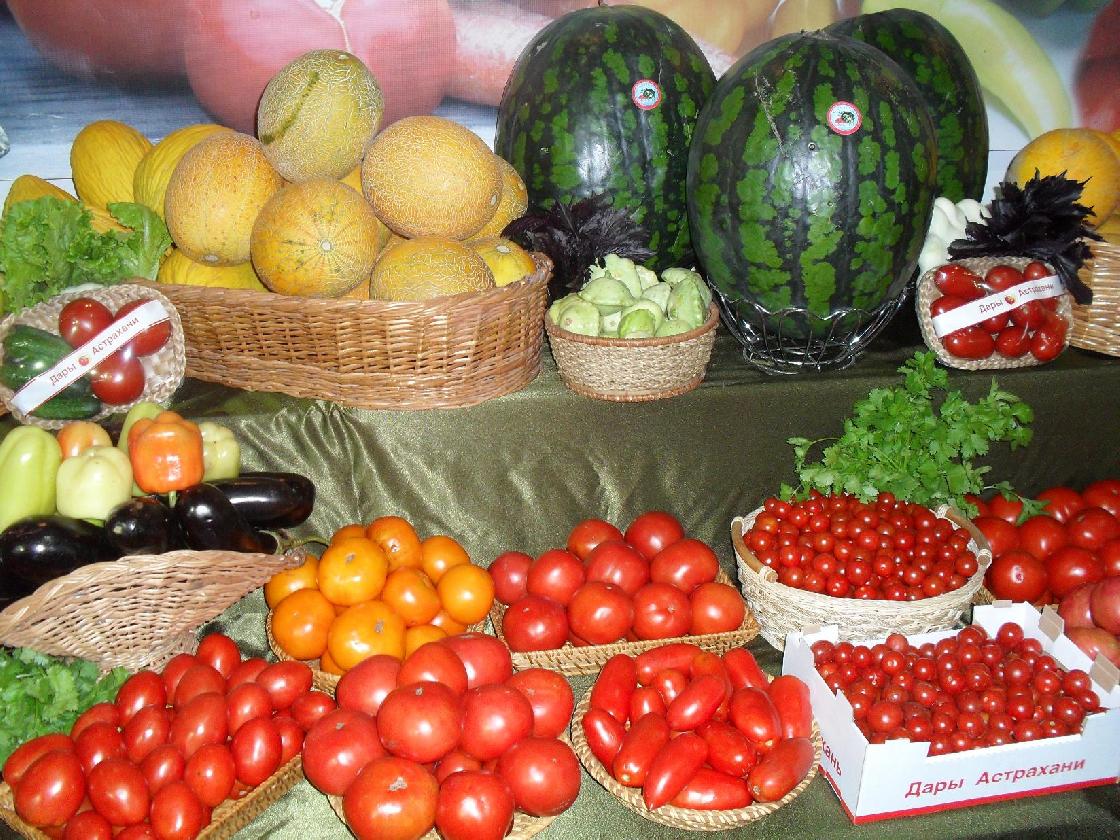 Астраханский урожай-2025