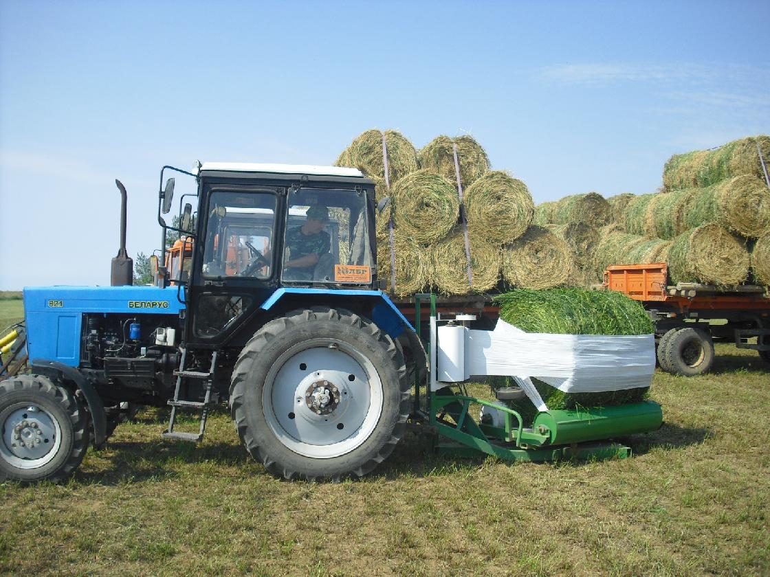 Что астраханские аграрии уже вырастили на полях и активно реализуют