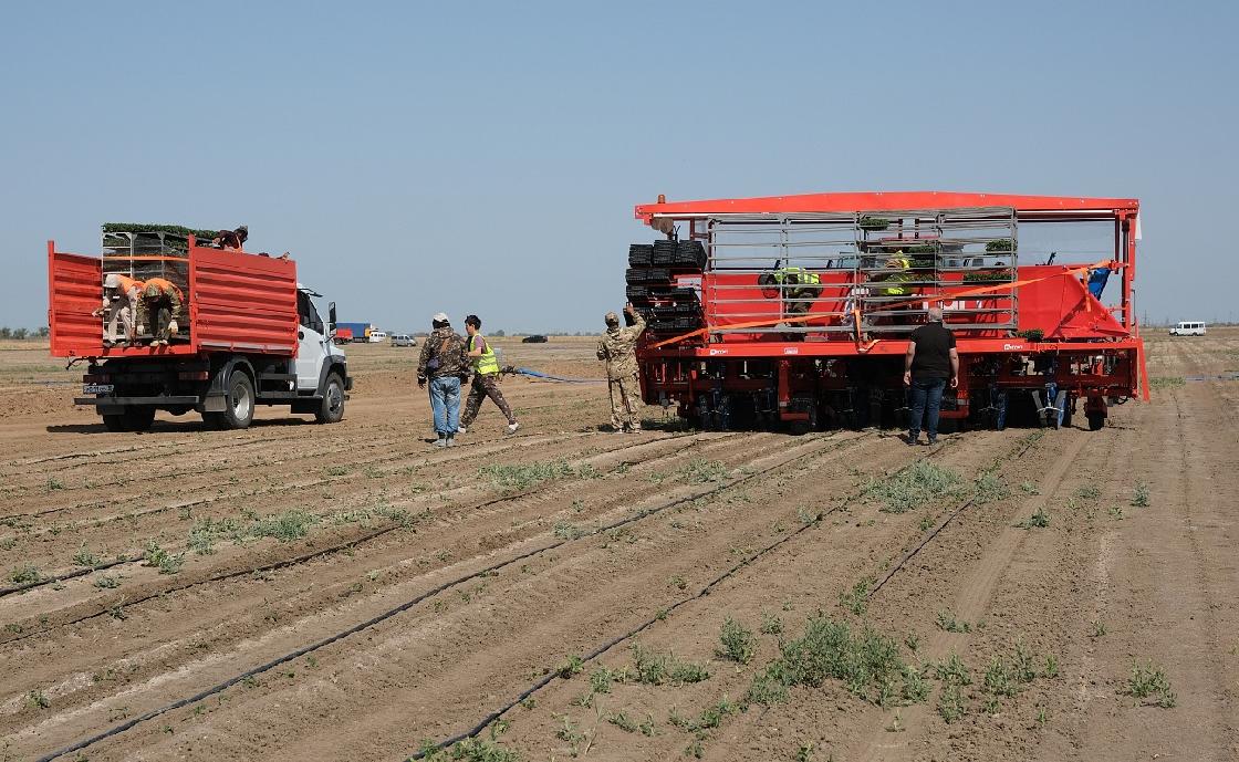 Под Астраханью строят второй завод по производству томатной пасты