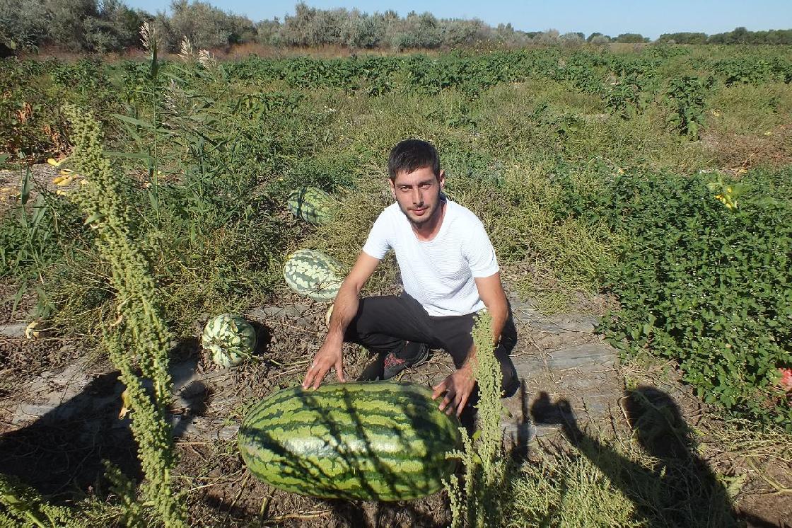 Что показали туристам фермеры Енотаевского района
