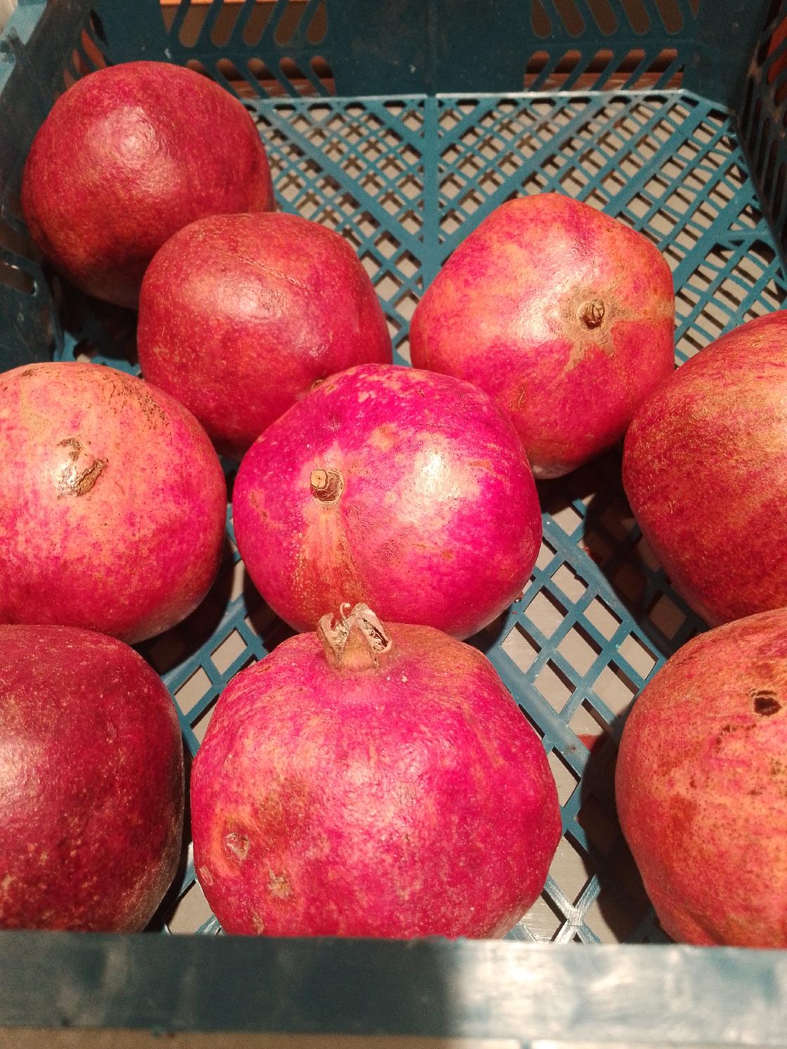 Советы астраханцам: гранаты от рака