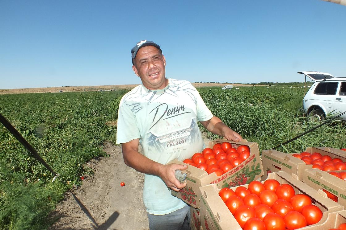 Чем порадуют поля Астраханской области