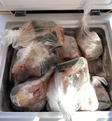 Жителя Ставропольского края задержали в Астрахани с осетрами