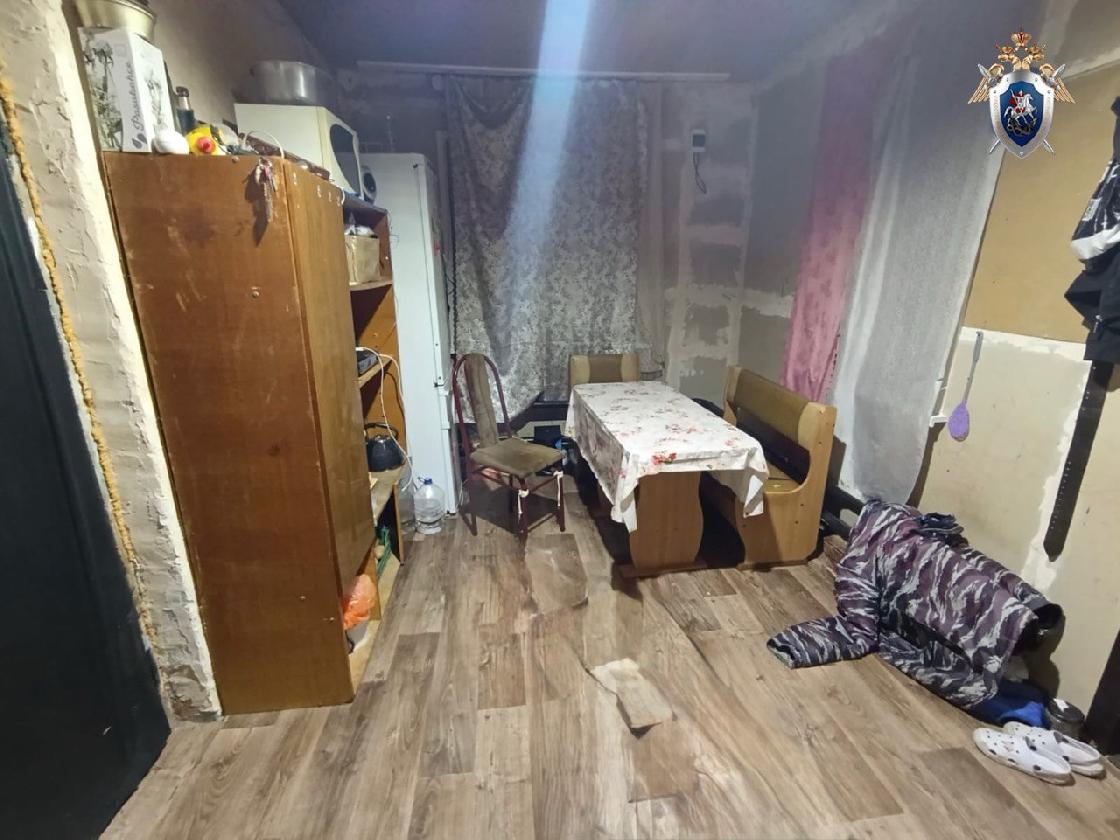 Жительницу астраханского села, убившую сожителя ударом ножа, ждет суд