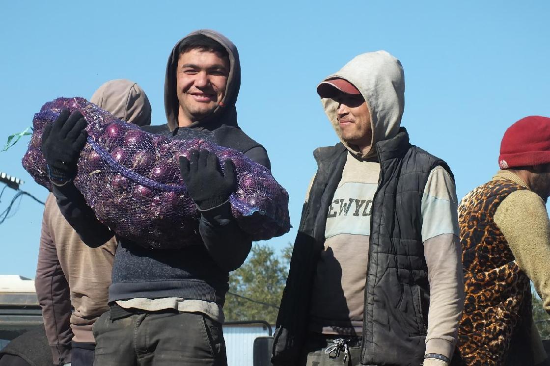 С какими показателями заканчивают год астраханские овощеводы