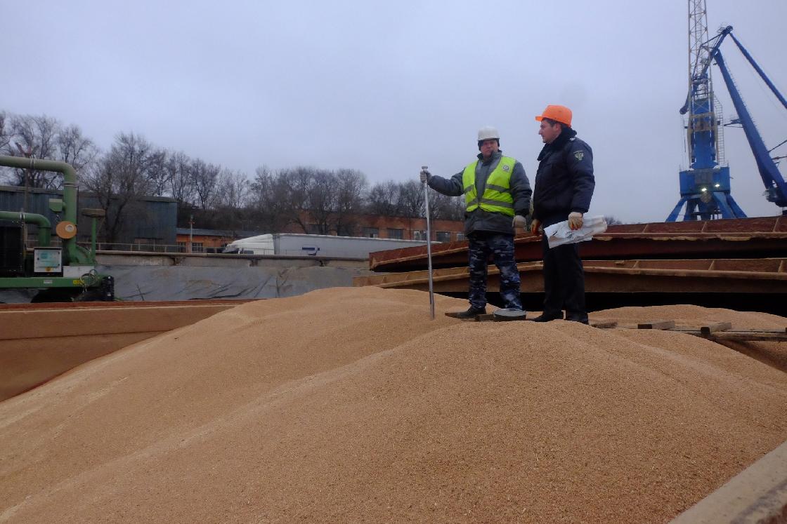 Астраханская область в ноябре отгрузила за границу более 340 тысяч тонн зерна