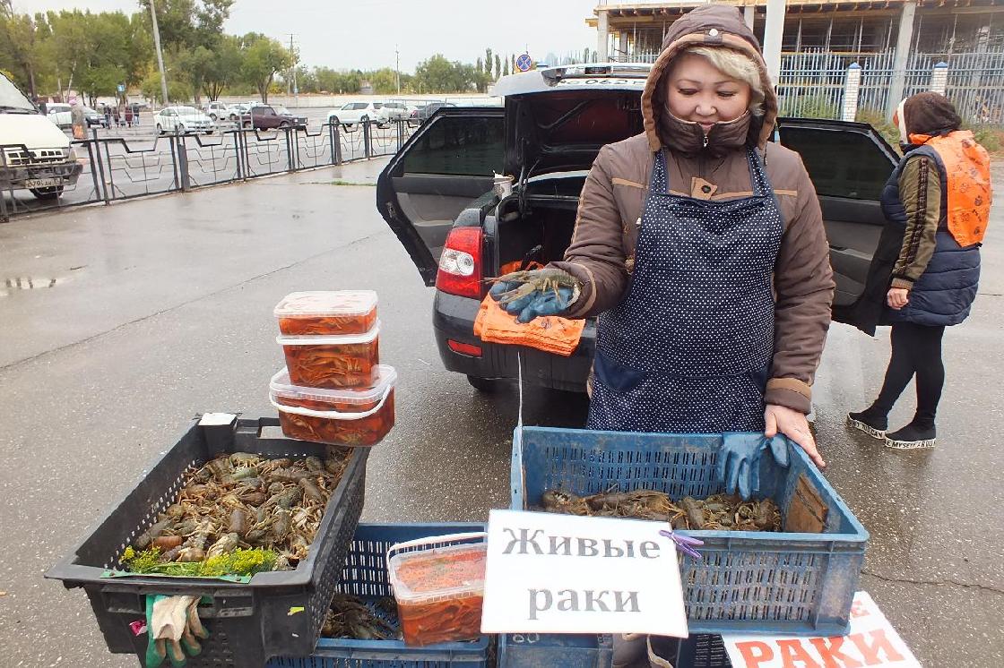 А вы знаете, где зимуют деликатесные австралийские раки?