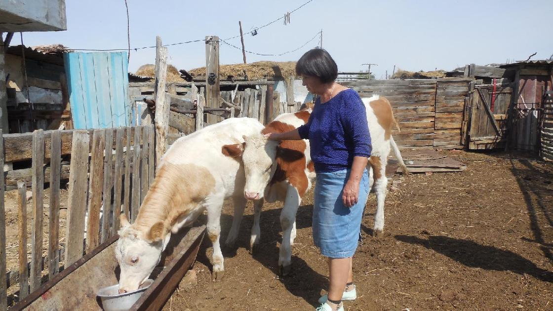 Профессионал высокого класса Наталья Шиганкова отмечает юбилей