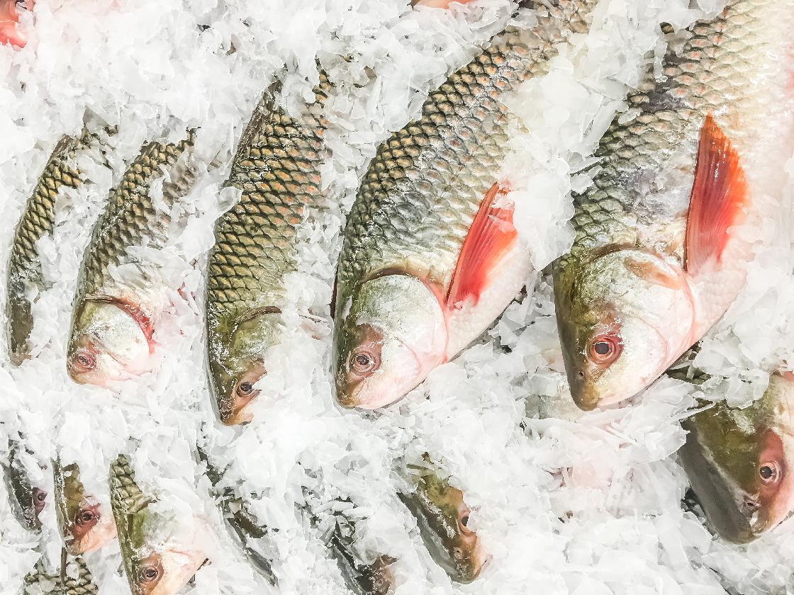 Около 50 тонн астраханской рыбы экспортировали в Грузию