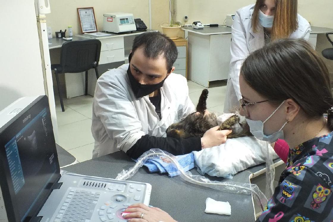 Несмотря на высокие зарплаты в село специалисты не едут