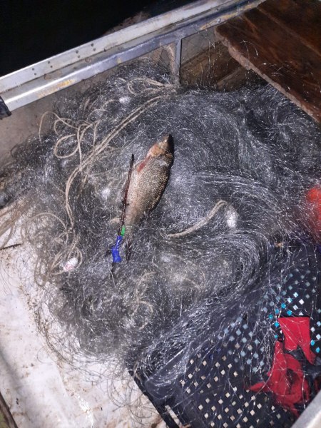 В Астраханской области осудили двух браконьеров