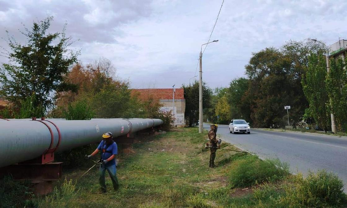 В сентябре в Астрахани скосили свыше 55 га сорной растительности
