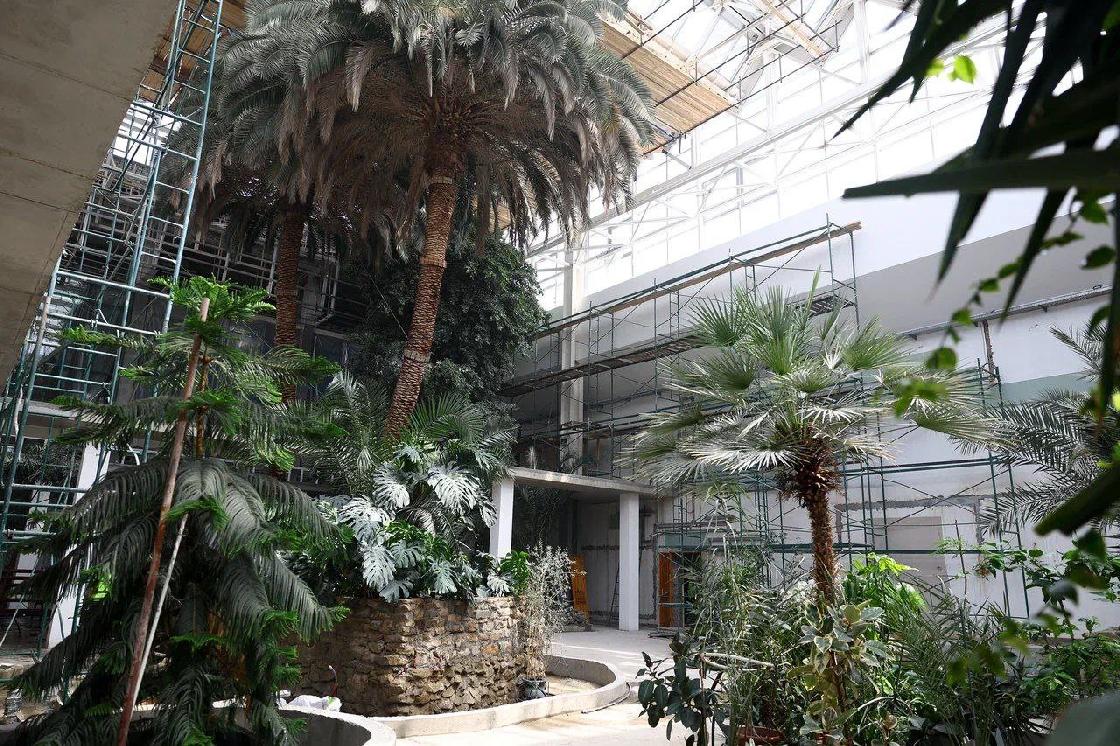 Экс-чиновник из Астрахани получил 4,5 года колонии за взятку при реконструкции кинотеатра «Октябрь»