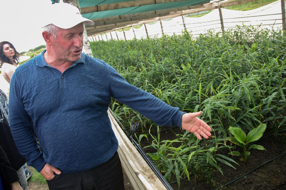 Астраханские диковинки