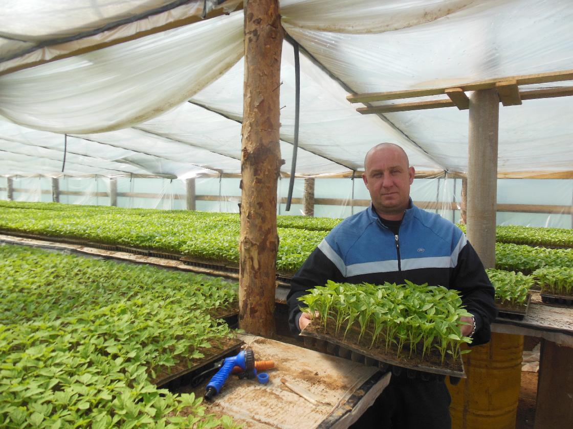 Советы астраханцам: урожай начинается с росточка