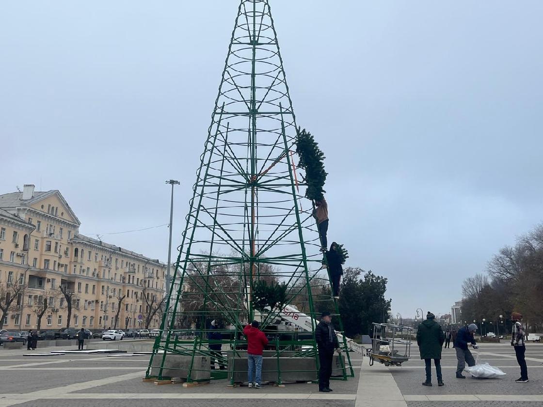 Главная астраханская елка зажжет свои огни 19 декабря