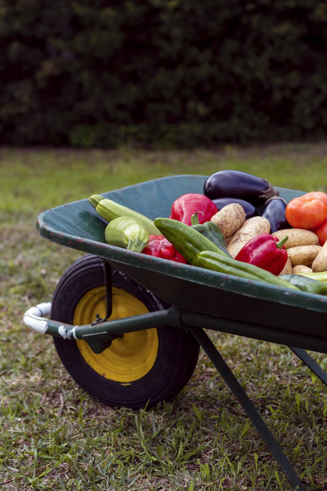 Советы астраханцам: в ноябре погода шалит, отдыхать не велит 